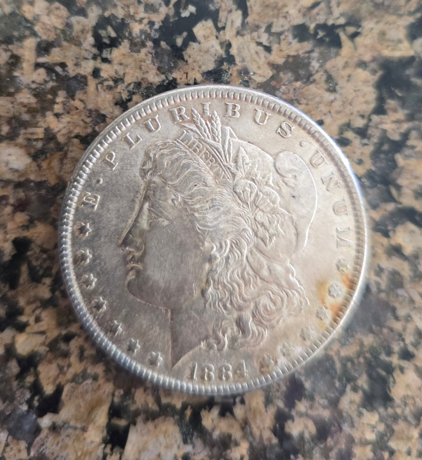 1884-P Rainbow Toned Morgan Unique One Of A Kind 🌈 #1