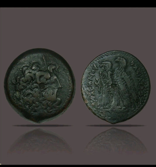 Ptolemaic Egypt Bronze Drachm Zeus Eagles Cornucopia, Ptolemy VIII, 181–116 BC Ancient Coin