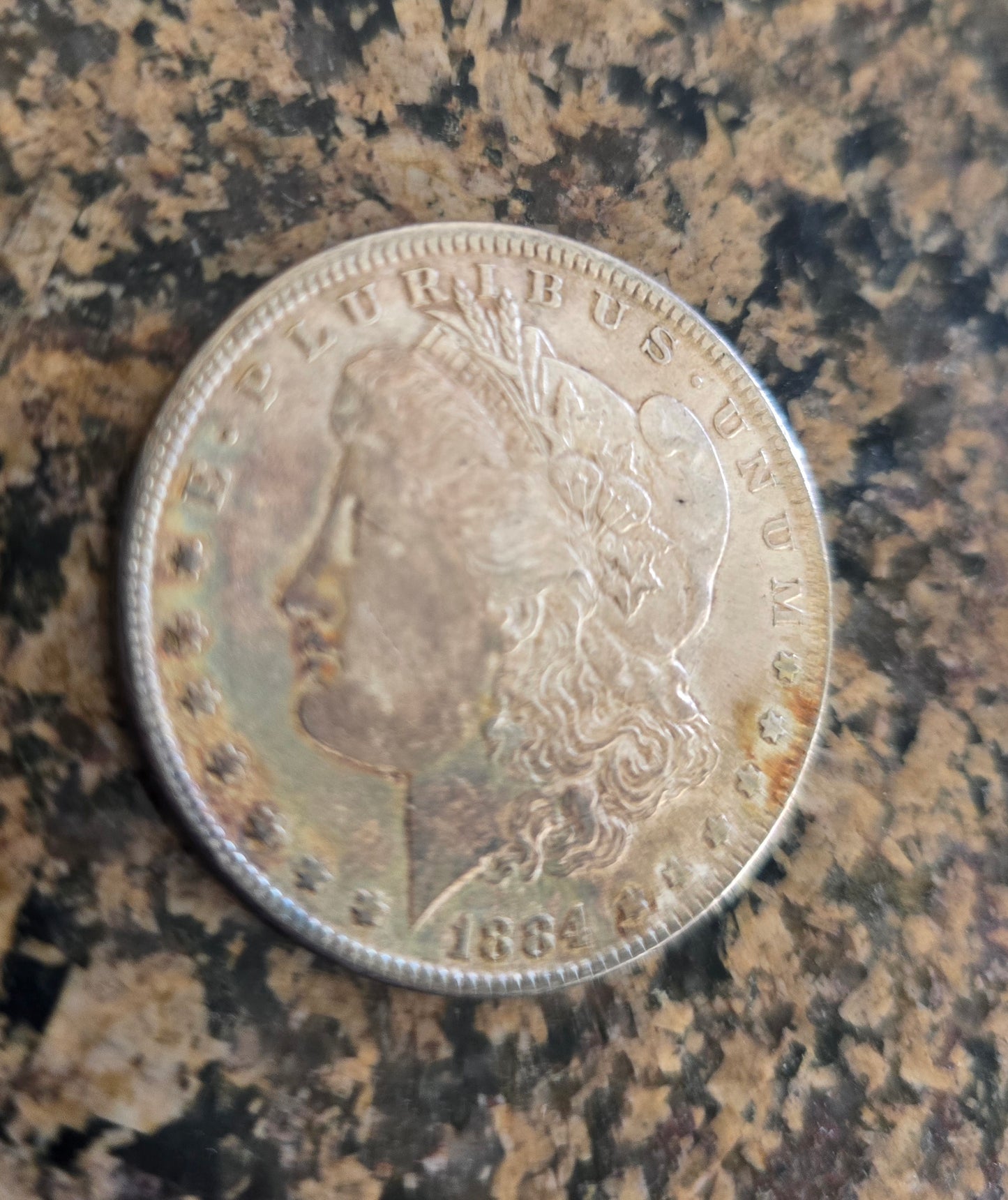1884-P Rainbow Toned Morgan Unique One Of A Kind 🌈 #1