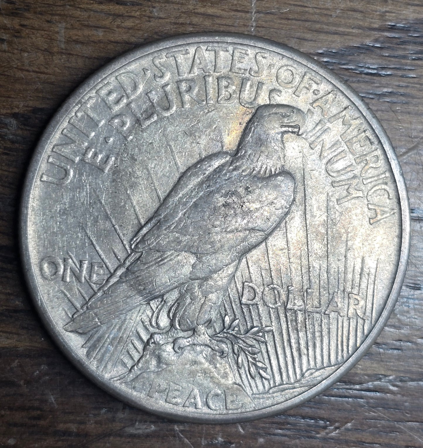1921 High Relief Peace Dollar Better Date #2