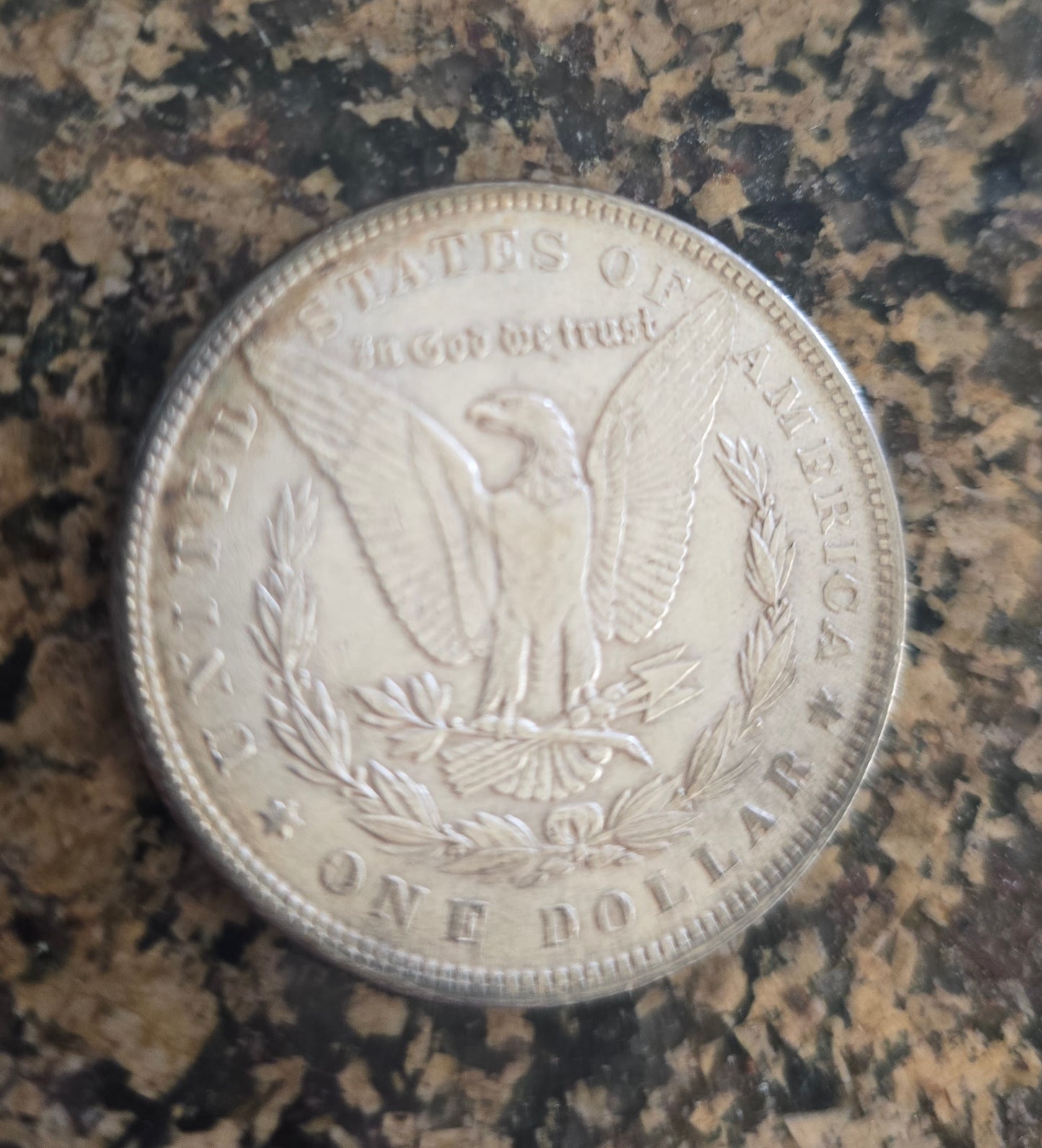 1884-P Rainbow Toned Morgan Unique One Of A Kind 🌈 #1