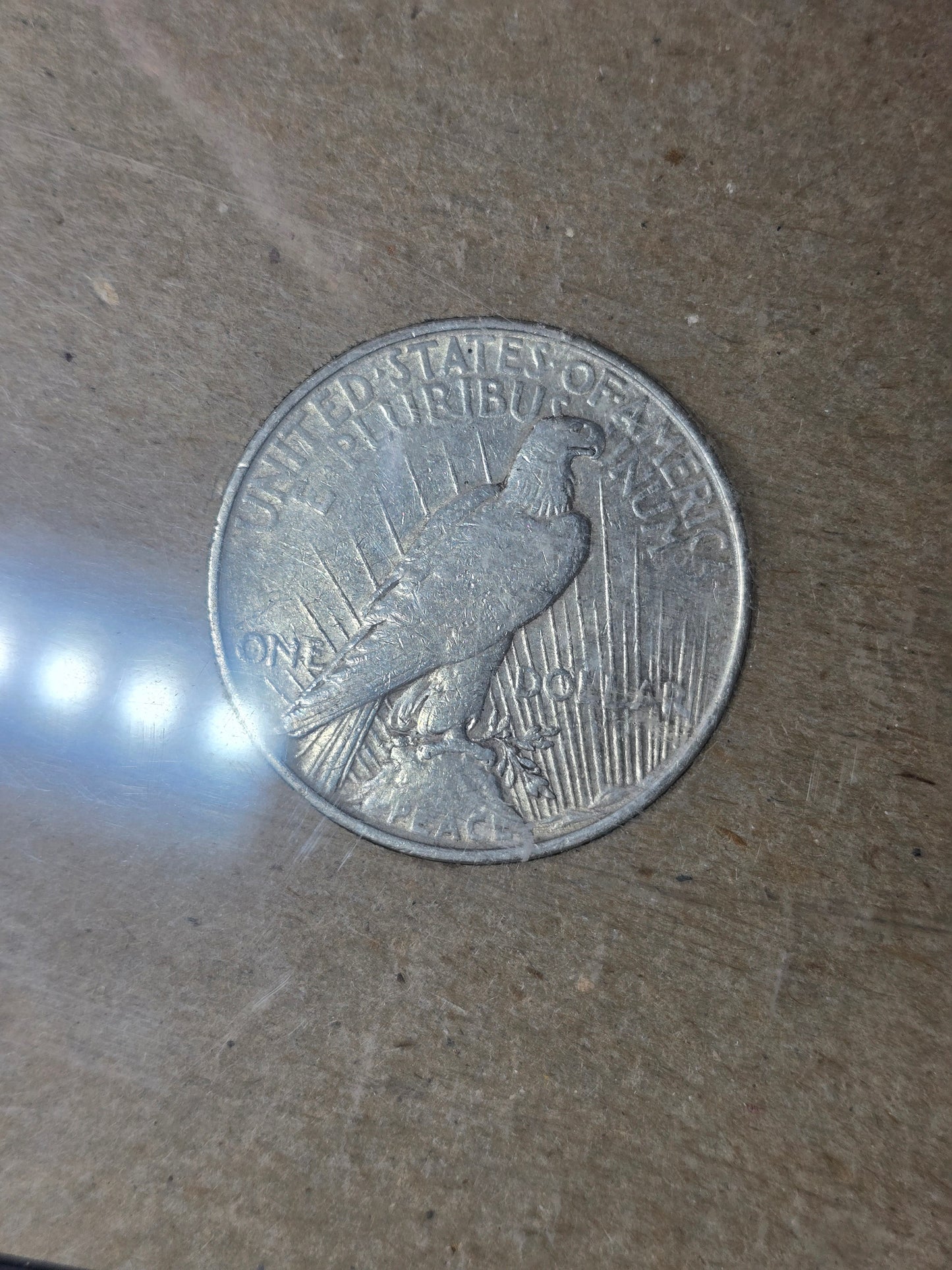 Hard Asset Collection 1923 Toned Peace Dollar and 1923 $1 Horse Blanket Framed