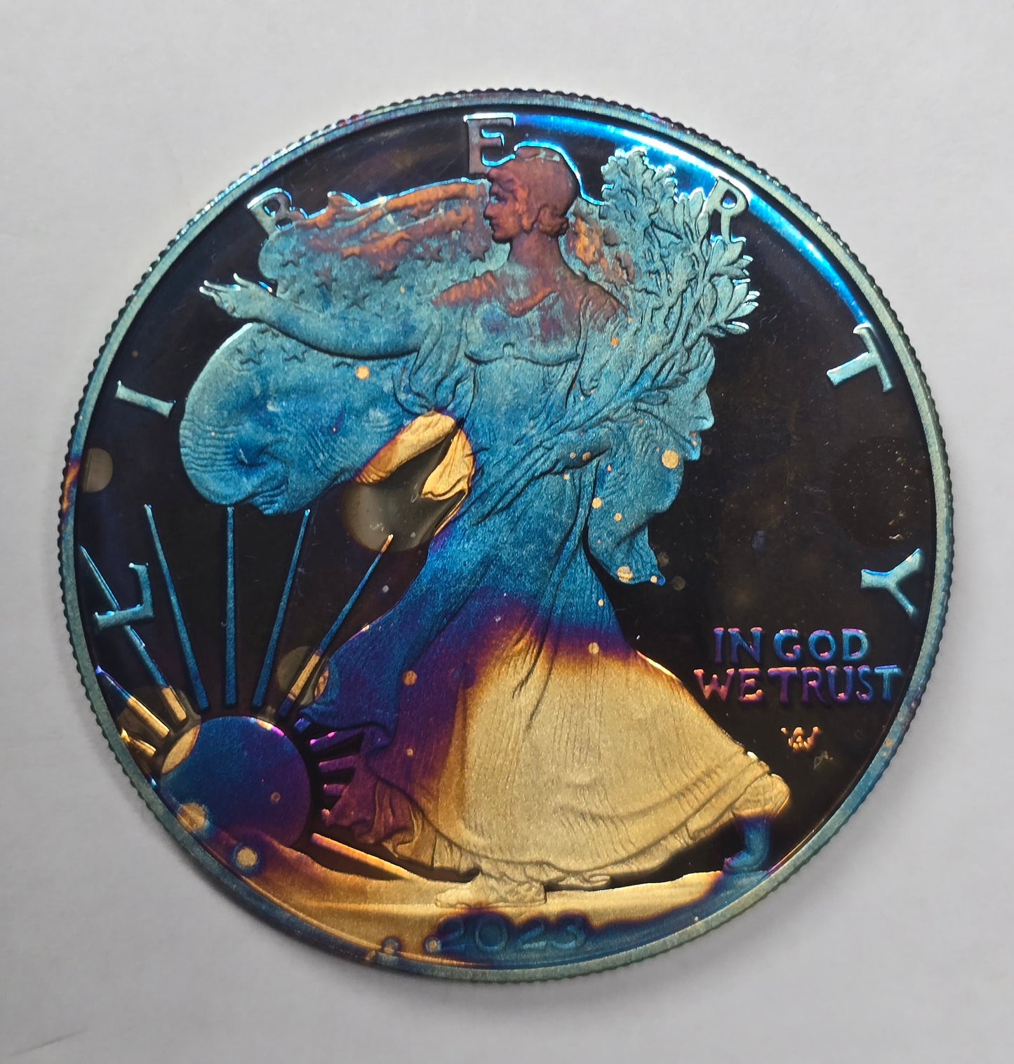 2023-S American Silver Eagle One Ounce Reverse Proof Coin with OGP COA - Toned